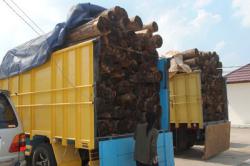 Penyelundupan Kayu Senilai Rp 2,8 Miliar Digagalkan