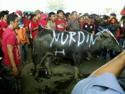 Massa Pendukung Nurdin Serang Suporter dengan Batu