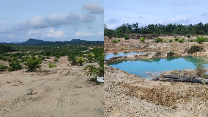 sore pergi ke lokasi reklamasi tambang timah, pemandangannya lumrah.. tentu saja berisi kolong bekas tambang dan tanah tandus yang ditanami sawit