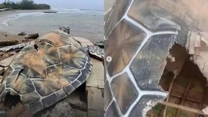Kolas Foto Patung Penyu di Sukabumi