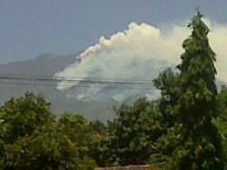 Kebakaran Gunung Lawu Dipicu Pembuat Arang