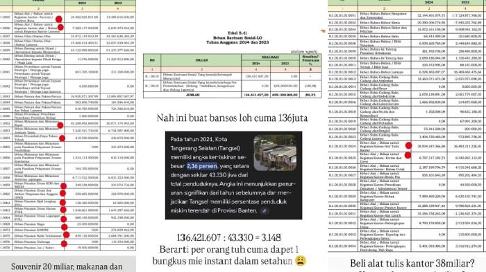 BEDAH PEMKOT TANGSEL - Mantan artis cilik Tri Wek-Wek, Leony VH membedah laporan keuangan Pemkot Tangsel 2024