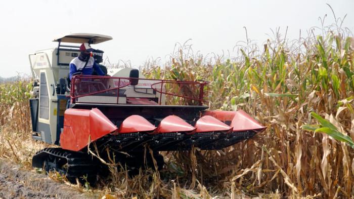 MAXXI Traktor