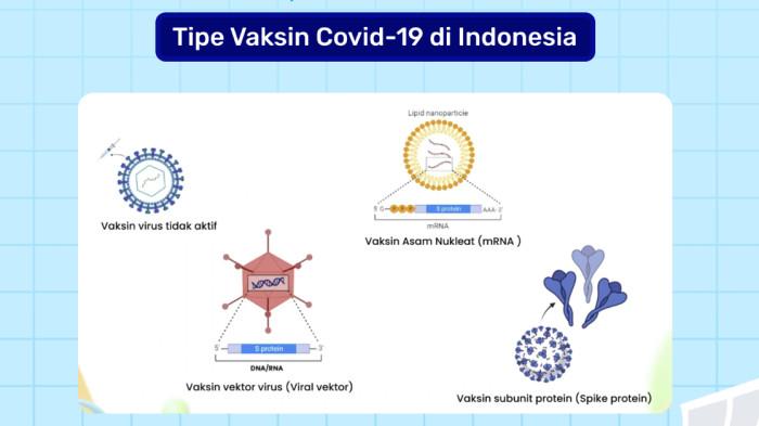 TIPE VAKSIN - Foto dari Skolla yang diunggah pada Jumat (29/8/2025). Ini adalah macam-macam Tipe Vaksin Covid-19 di Indonesia.