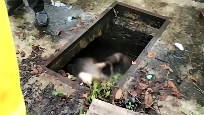 MAHASISWI DIBUNUH - Zahra Dilla (20), mahasiswi Fakultas Ekonomi dan Bisnis (FEB), Universitas Lambung Mangkurat (ULM) Banjarmasin ditemukan tewas. Jasad warga Lok Tamu, Kabupaten Banjar itu ditemukan oleh petugas kebersihan Dinas PUPR Kota Banjarmasin di dalam selokan kawasan Simpang Empat Sungaiandai, Banjarmasin, Rabu (24/12/2025) pagi.