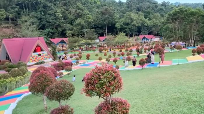 Menjelajahi Kebun Raya Kendari, surga hijau di tengah kota Sulawesi Tenggara.
