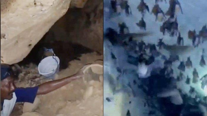 Misteri Kemunculan Gua di Lamongan, Ditemukan saat Gali Sumur, Warga Takut Lakukan Penelusuran