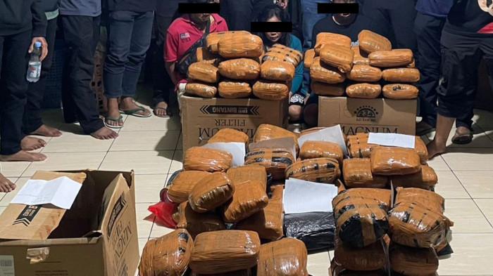 PEREDARAN GANJA - Direktorat Reserse Narkoba Polda Metro Jaya mengungkap kasus peredaran narkotika jenis ganja di sekitar kawasan Duren Jaya, Bekasi, Jawa Barat, Selasa (6/1/2025). Tiga tersangka diamankan dengan total barang bukti mencapai 83 kilogram.