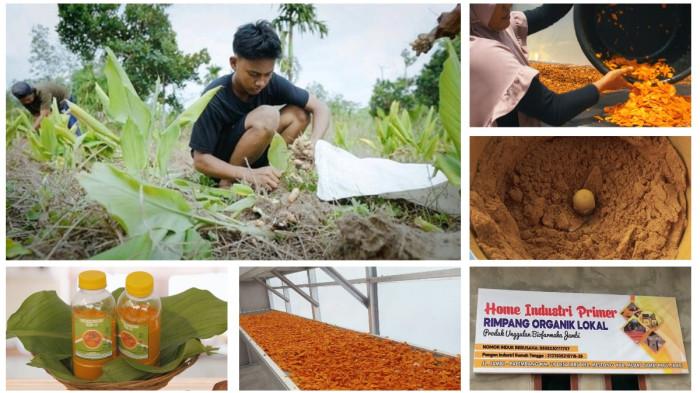 OLAHAN KUNYIT - Proses pengolahan kunyit di Desa Ibru Jambi, mulai dari panen, penjemuran, penggilingan, hingga proses pengemasan. Aktivitas tersebut dilakukan di BUMdes Suka Makmur yang melibatkan Kelompok Wanita Tani (KWT) Maju Jaya.