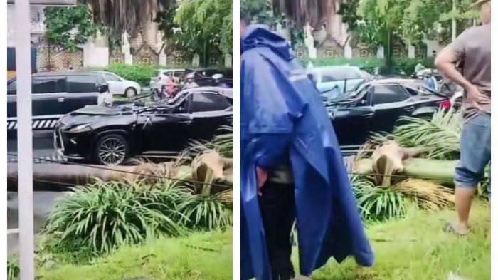 Pengemudi Lexus Tewas Tertimpa Pohon Palem yang Roboh di Pondok Indah Jaksel