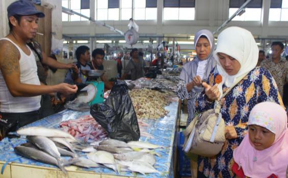 Harga Daging Sapi di Berau Tembus Rp 150 Ribu