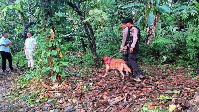Pelaku Pembunuhan Gadis Penjual Gorengan Diburu, Warga Lihat IS: Lari, Hilang di Balik Semak-semak