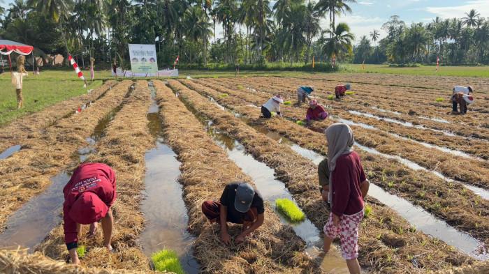 Pertamina Patra Niaga SI CADIAK