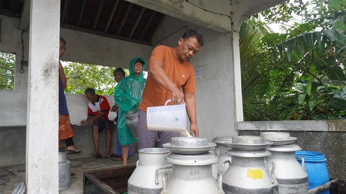 Pegawai KUD Susu Mojosongo menuangkan susu segar dari peternak ke dalam jeriken penampungan di pos pengumpulan Dusun Logerit, Desa Butuh, Mojosongo, Boyolali, Jawa Tengah, Senin (23/2/2026). Susu yang terkumpul selanjutnya didinginkan sebelum dikirim ke industri pengolahan.