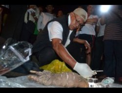 Ibu dan Anak Dibantai, Kasus Mutilasi Gegerkan Belu