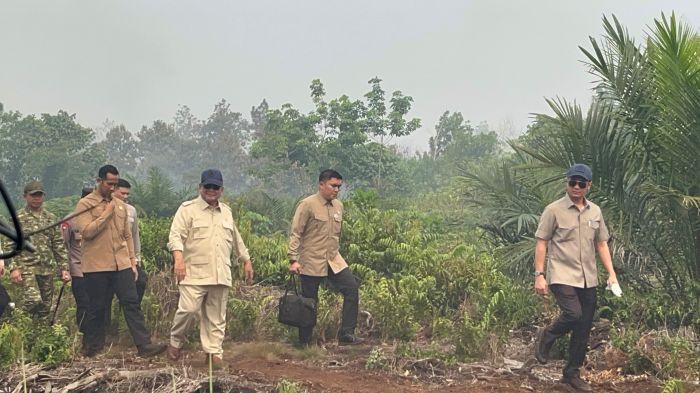 Presiden Prabowo Subianto turun langsung meninjau penanganan kebakaran hutan dan lahan (karhutla) di Desa Limbung, Kecamatan Sungai Raya, Kabupaten Kubu Raya, Kalimantan Barat, Sabtu (22/8/2026).