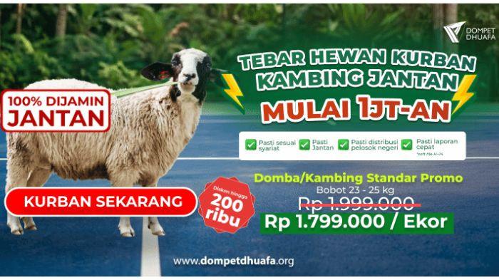 Program Tebar Hewan Kurban (THK) dari Dompet Dhuafa.