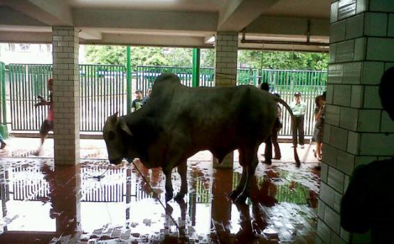 Akhirnya Rambo II pun Dapat Giliran