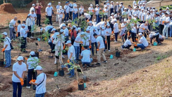 Ratusan karyawan dan manajemen Kawan Lama Group berpartisipasi dalam kegiatan Trees For Tomorrow