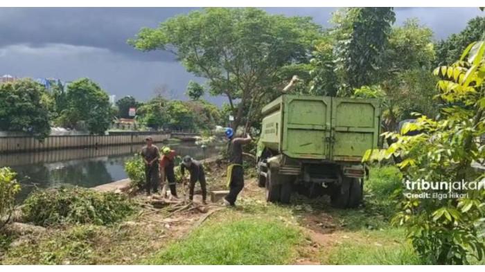 Semak di Taman Daan Mogot Dibabat