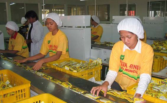 Indonesia Bisa Menduniakan Jamu Sebagai Salah Satu Kekayaan yang Dimiliki