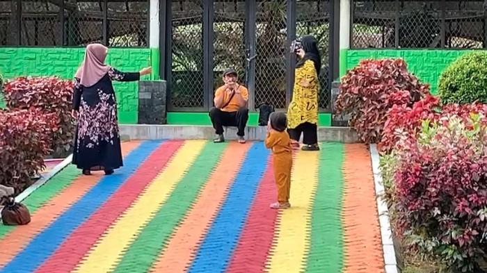 Spot foto Instagramable menanti di setiap sudut Kebun Raya Kendari.