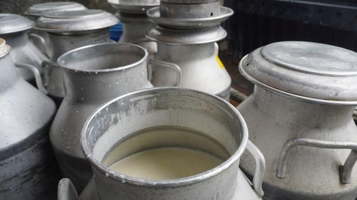 Jeriken berisi susu segar milik peternak lokal berada di pos pengumpulan susu di Dusun Logerit, Desa Butuh, Mojosongo, Boyolali, Jawa Tengah, Senin (23/2/2026) siang. Susu yang dikumpulkan dari peternak selanjutnya didinginkan sebelum dikirim ke industri pengolahan untuk memenuhi kebutuhan pasar, termasuk program Makan Bergizi Gratis (MBG).