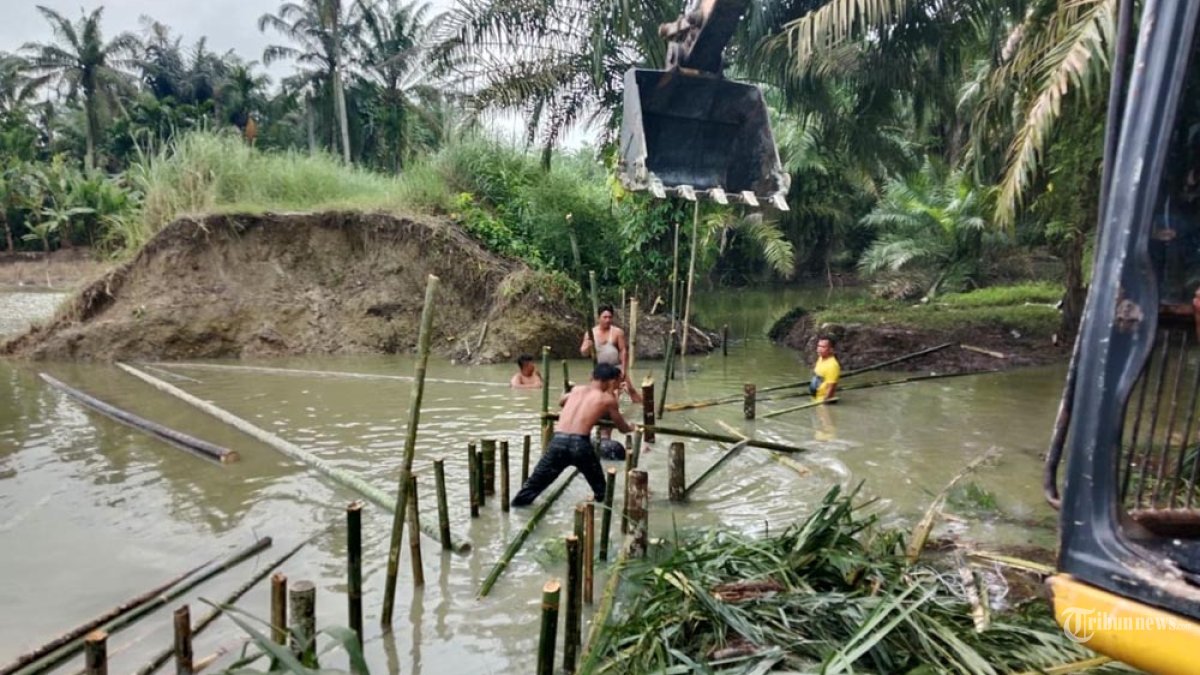 Koramil 07/Stabat, Kodim 0203/Langkat, bersama warga Desa Stabat Lama, Kecamatan Wampu, Kabupaten Langkat, melaksanakan perbaikan tanggul yang kembali jebol akibat hujan deras, Minggu (14/12/2025). Perbaikan tersebut dilakukan sebagai langkah antisipasi untuk mencegah terjadinya banjir susulan pasca banjir yang melanda wilayah tersebut beberapa hari sebelumnya. (Puspen TNI)