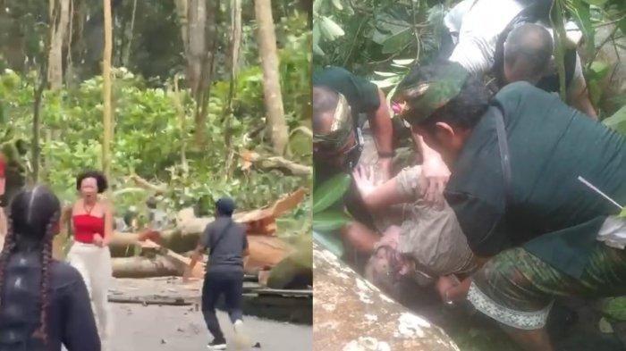 Tragedi Pohon Tumbang di Monkey Forest Ubud Bali: 2 Wisatawan Asing Tewas