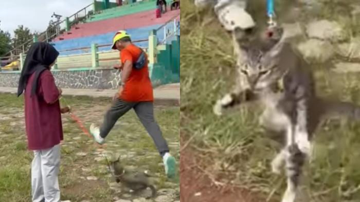 KUCING DITENDANG - Tangkap layar video detik-detik saat seorang pria tendang kucing di Lapangan Kridosono Blora, Jawa Tengah, pada 25 Januari 2026 sekira pukul 09.00 WIB.