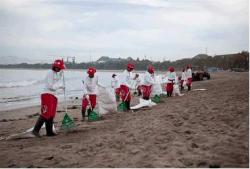 Hujan Tiba, Pantai di Bali Penuh Sampah, Puluhan Sukarelawan Terjun