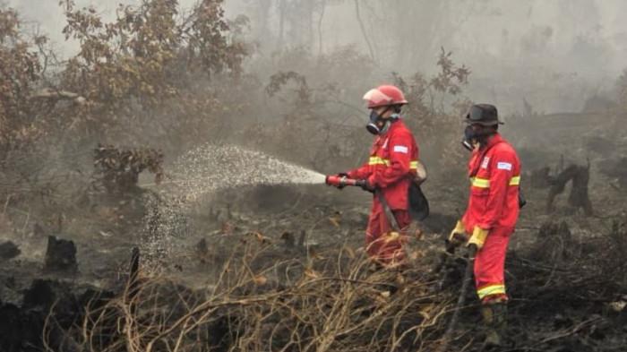 KARHUTLA - Foto petugas sedang berusaha memadamkan api  kebakaran hutan dan lahan (karhutla) yang melanda Pulau Kalimantan. Karhutla Kalimantan disorot warganet, titik panas meningkat dan kabut asap mengganggu aktivitas warga di tengah ancaman El Nino.