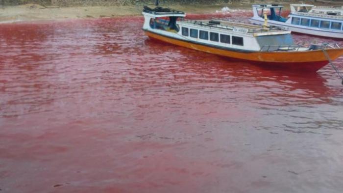 Air Berwarna Merah, Warga Takut Makan Ikan