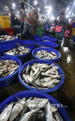 Pasar Ikan Muara Baru Akan Disulap Seperti Pasar Tsukiji di Jepang