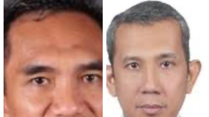 profile tribunners