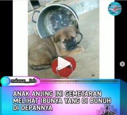 Viral Video Anjing Nangis Gemeteran Lihat Ibunya Dibunuh, Doglovers: Sangat Disayangkan Sekali