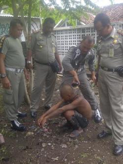 Sering Mengganggu Pengguna Jalan, Tiga Anjal Digunduli
