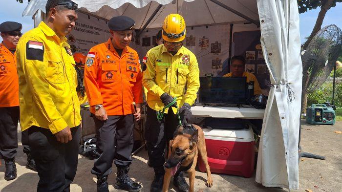 Fenrir, anjing dari ras Belgian Malinois bersama sang pawang, Abdul Aziz, saat dihampiri oleh Kepala Basarnas, Marsekal Madya TNI Mohammad Syafii di Pameran SAR di Green Belt, PIK 2, Banten, Sabtu (14/2/2026)