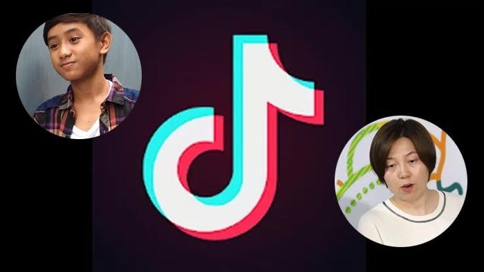 Alasan Keamanan Cyber, Banyak Negara Menutup Aplikasi Tik Tok, Bagaimana di Indonesia?