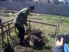 Ribuan Tahun Arca Singa Semedi Tergusur Perumahan