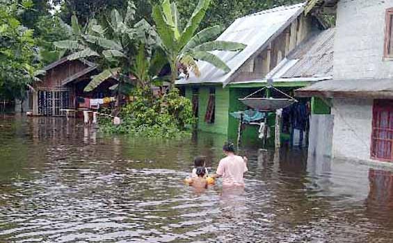 Banjir Rendam Desa Banyutajun Tiga Hari
