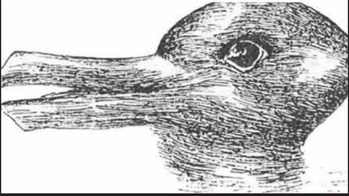 Tes Kepribadian - Ungkap Apakah Kamu Spontan Atau Pemikir dari Gambar Pertama Yang Kamu Lihat