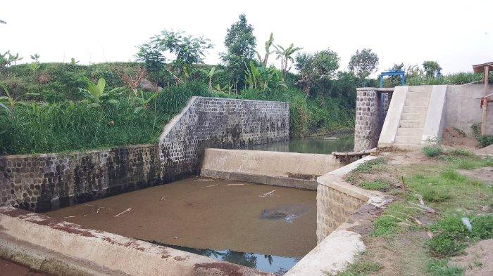 BMKG Paparkan Dampak Lanjutan Kemarau Kering di Sejumlah Sektor