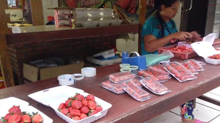 Agrowisata di Pegunungan Berastagi, Sumut, yang Dingin Alami, Pas Buat Bulan Madu Pengantin Baru