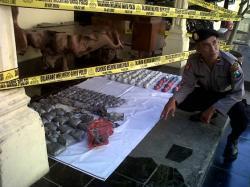 Polresta Pasuruan Sita 100 Bom Bondet dari Kandang Ternak Warga
