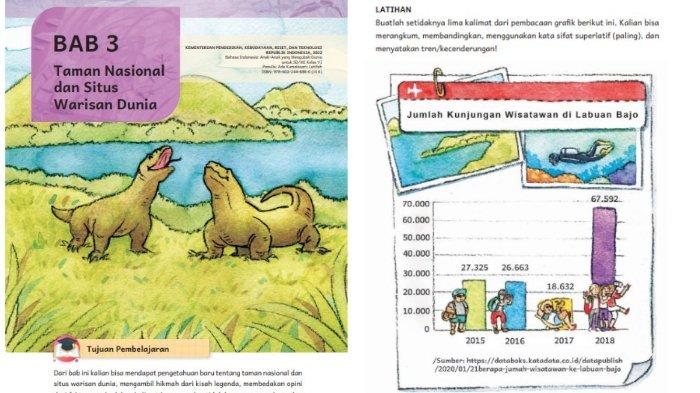 Kunci Jawaban Bahasa Indonesia Kelas 6 Halaman 75 Kurikulum Merdeka Bab 3: Latihan Membaca Grafik