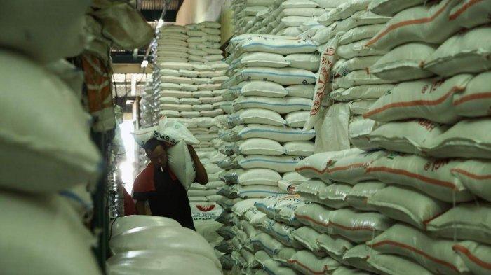 Pengamat: Mimpi Swasembada Beras Jadi Kenyataan