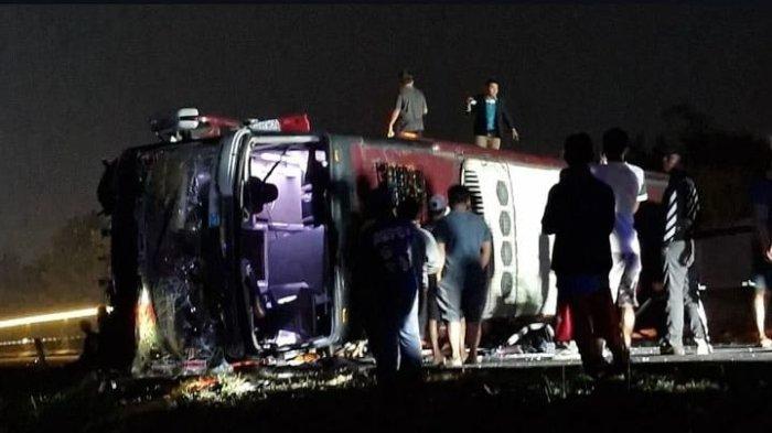 Transseksual trans videolar