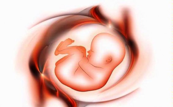 Bayi Dua Bulan di Padang Alami Gangguan Tumbuh Kembang dan Down Sindrom, Ketika Hamil di USG Sehat