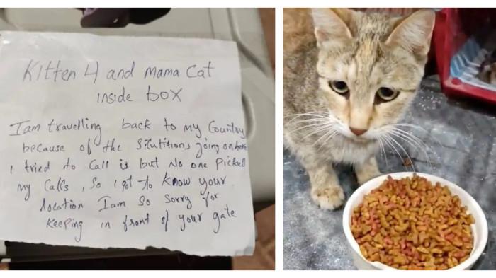 Dalam foto: 
Surat berisi pesan untuk merawat kucing. Diduga, surat tersebut ditulis oleh ekspatriat yang meninggalkan Dubai dan tidak membawa serta kucing peliharaannya beserta empat ekor anak kucing, seiring meningkatnya ketegangan militer di kawasan Timur Tengah menyusul serangan Amerika Serikat (AS) dan Israel terhadap Iran mulai Sabtu (28/2/2026).